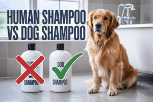 can i use human shampoo on my dog