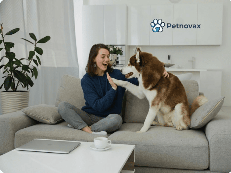 Pet owner bonding with dog - Petnovax.