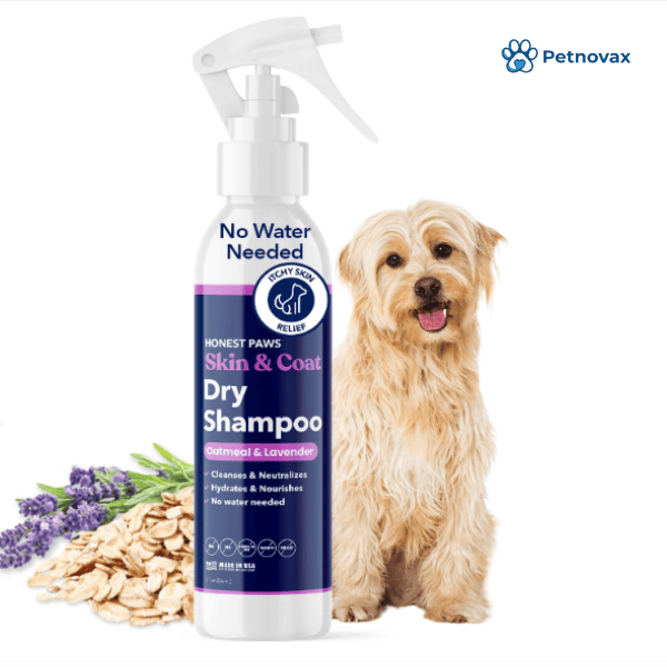 Paw Choice Foaming Dry Dog Shampoo
